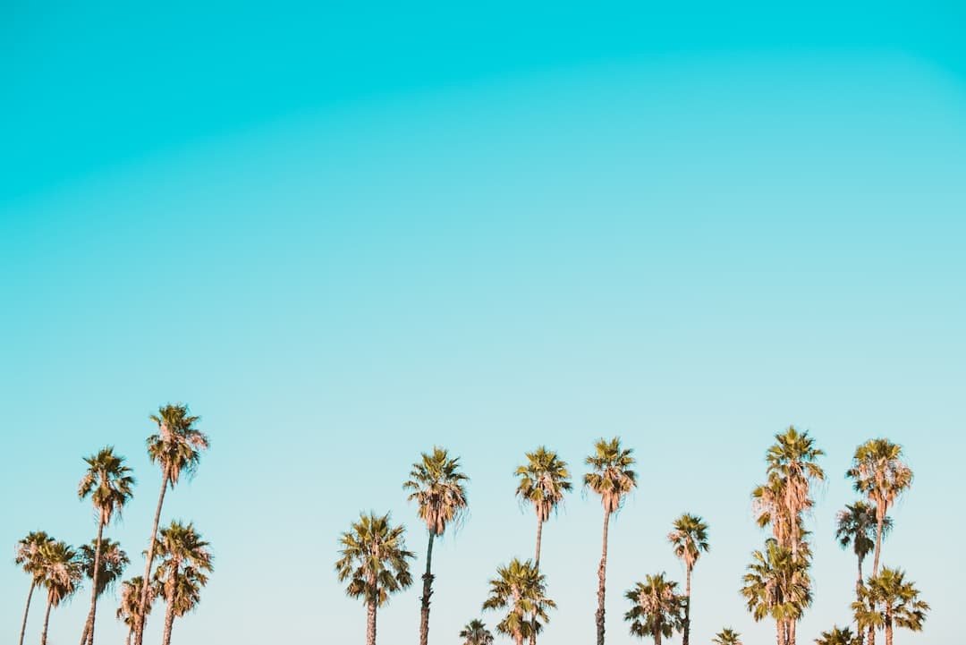 Photo Tropical oasis