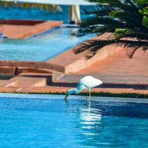 Photo Infinity pool