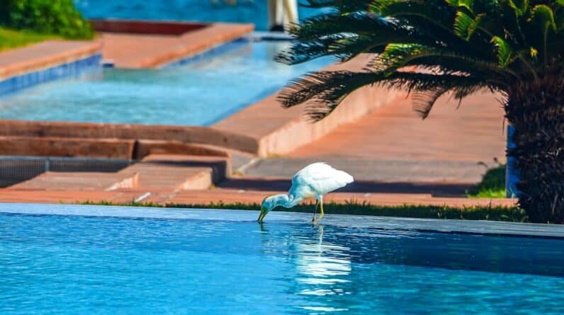 Photo Infinity pool