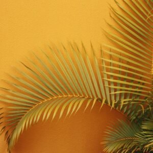 Photo Tropical plants