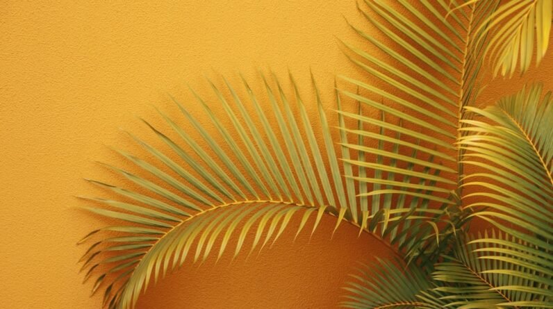 Photo Tropical plants