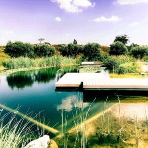Photo "Can Pools Be Designed to Seamlessly Blend with Natural Bodies of Water in the Surroundings?"