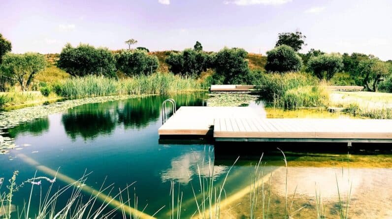 Photo "Can Pools Be Designed to Seamlessly Blend with Natural Bodies of Water in the Surroundings?"