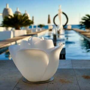 Photo "Sculptural Statements: Artistic Elements That Redefine Poolside Beauty"