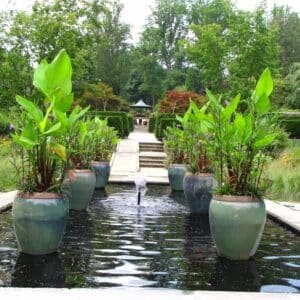 Photo "How Can the Inclusion of Native Plants and Flora Enhance the Overall Pool Landscape?"