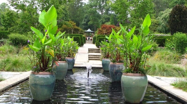 Photo "How Can the Inclusion of Native Plants and Flora Enhance the Overall Pool Landscape?"