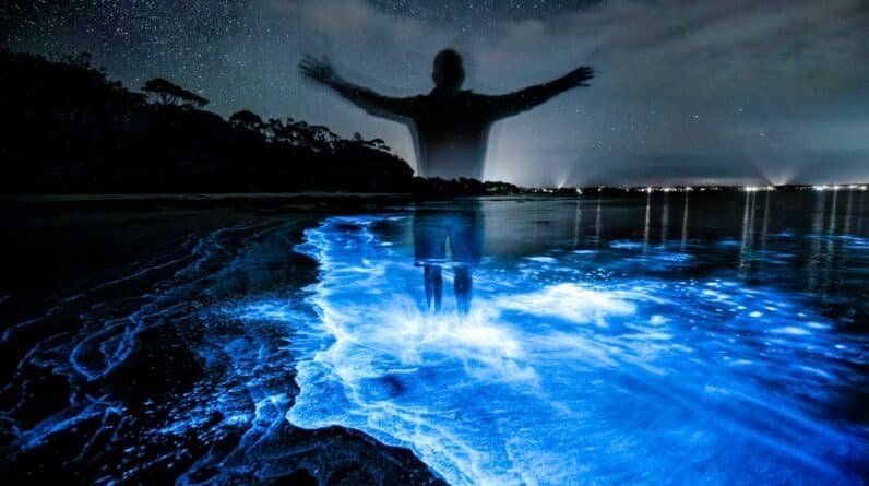 Photo "Celestial Soak: Stargazing from Your Custom-made Celestial Pool"
