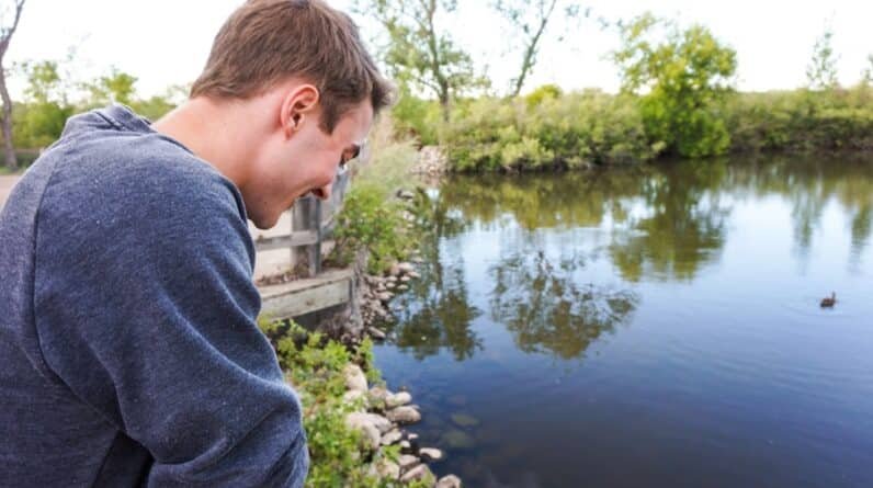 Photo "How Do Pool Builders Address Concerns Related to Local Wildlife and Ecosystem Preservation?"