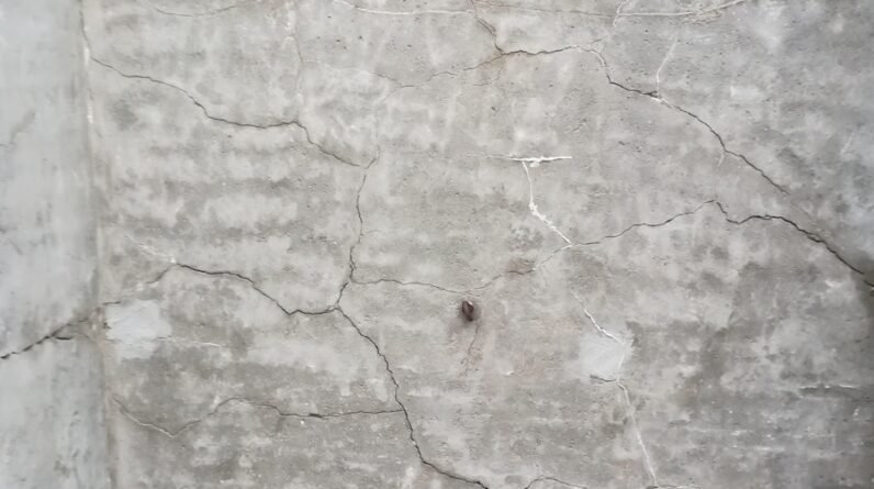 Photo "Can You Patch a Pool Wall?"