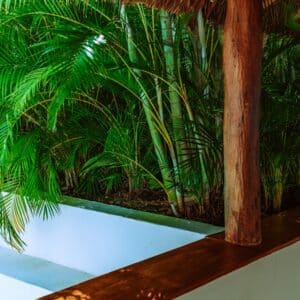 Photo Biophilic Bliss: Integrating Nature for a Tranquil Poolside Haven