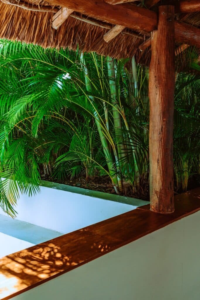 Photo Biophilic Bliss: Integrating Nature for a Tranquil Poolside Haven