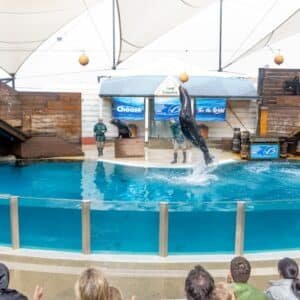 Photo "What is a Panoramic Pool Cage?"