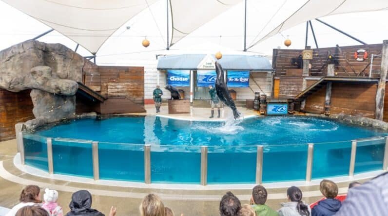 Photo "What is a Panoramic Pool Cage?"