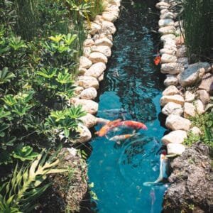 Photo "How Are Pool Builders Addressing Environmental Sustainability in Their Practices?"