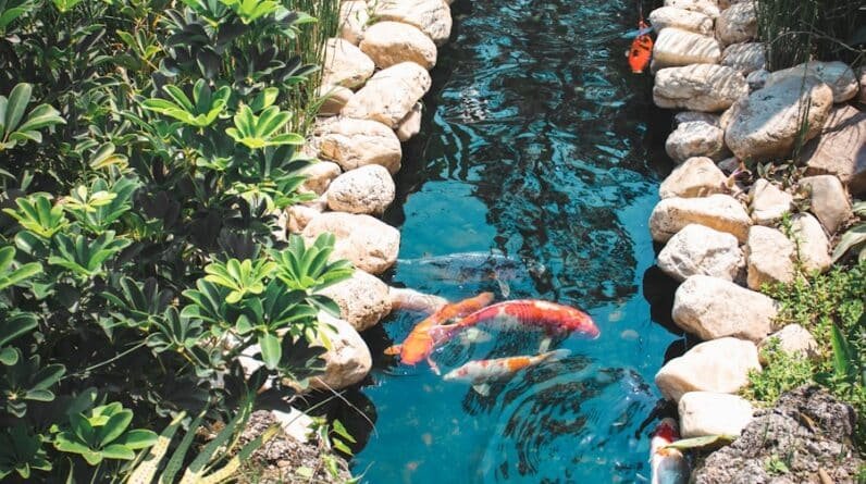 Photo "How Are Pool Builders Addressing Environmental Sustainability in Their Practices?"