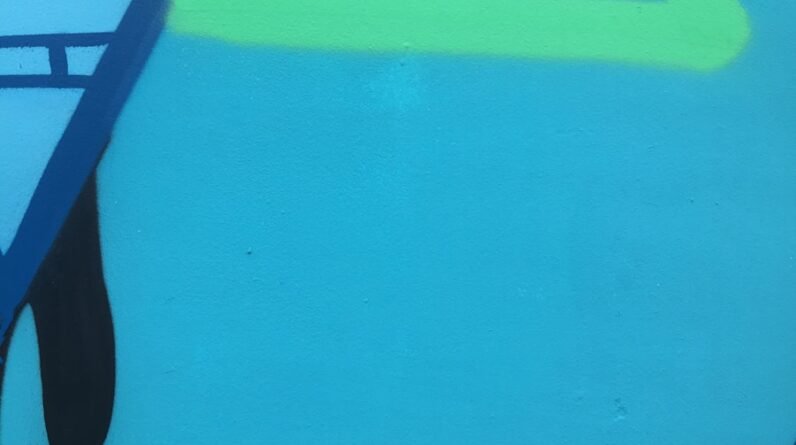 Photo "What is the Screen over Pool in Florida Called?"