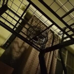 Photo "How Long Does It Take to Put Up a Pool Cage?"