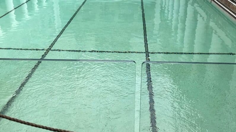 Photo "How Do You Maintain a Pool for Beginners?"