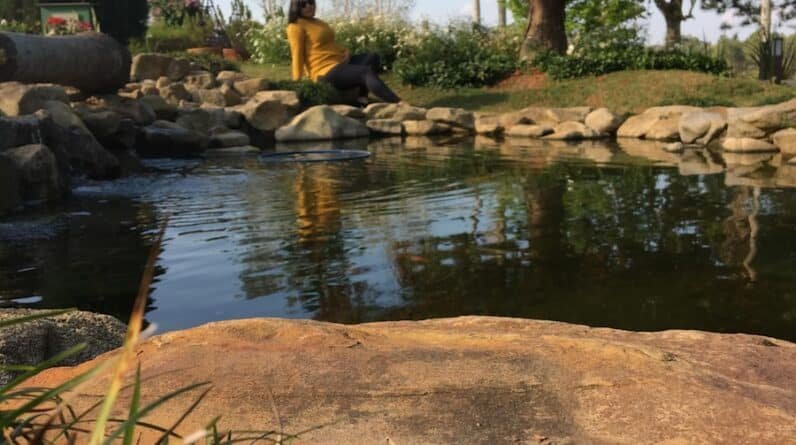 Photo "Pool Builders Contractors In Cicero Illinois"
