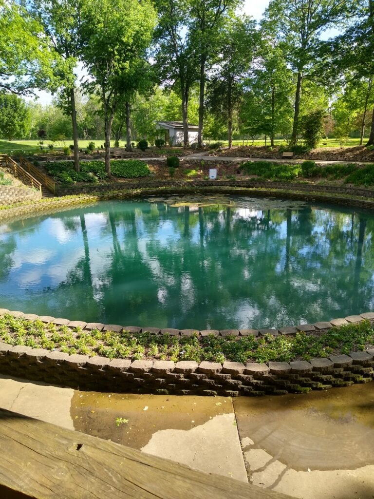 Photo "Pool Builders Contractors In Tyler Texas"