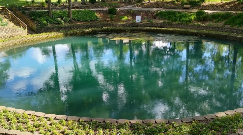 Photo "Pool Builders Contractors In Tyler Texas"