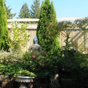 Photo "Pool Builders Contractors In Federal Way Washington"