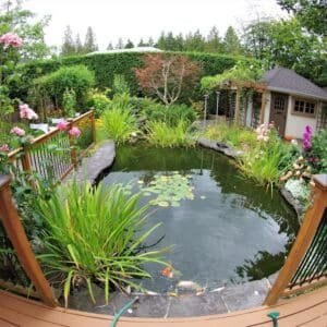 Photo "Pool Builders Contractors In Duluth Minnesota"