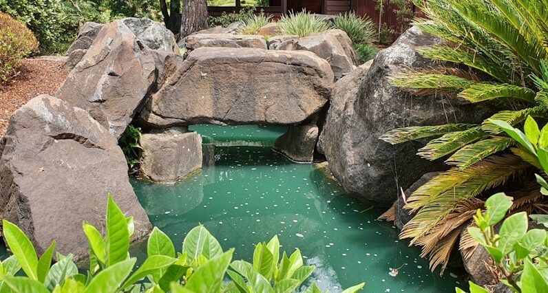 Photo "Pool Builders Contractors In San Leandro California"