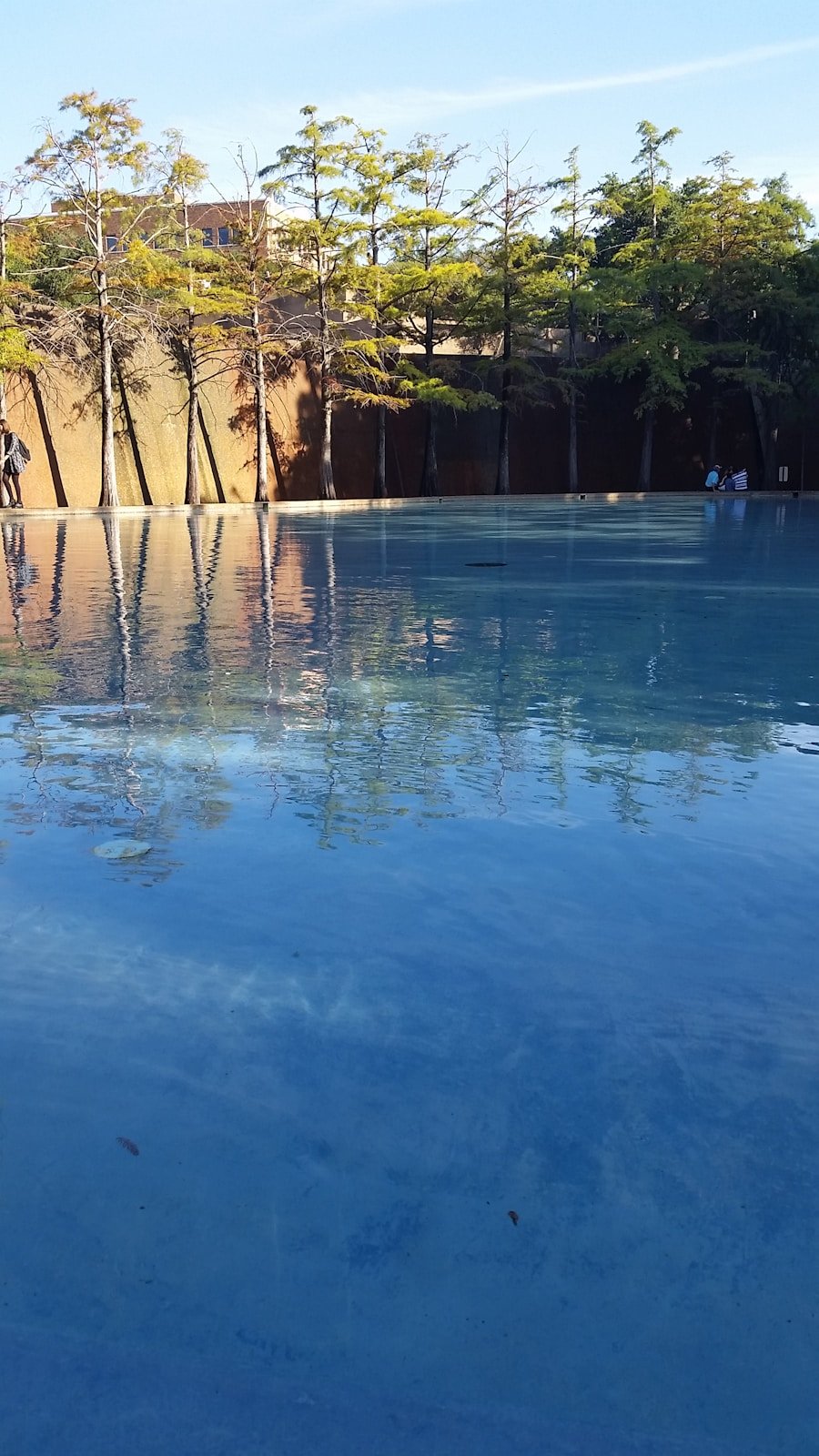 Photo "Pool Builders Contractors In Edmond Oklahoma"