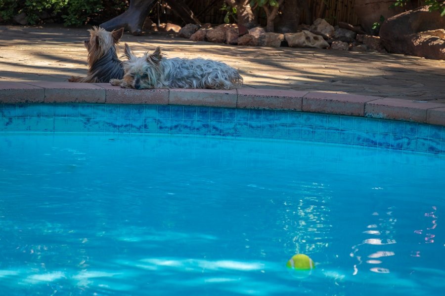 Photo "Pool Builders Contractors In Whittier California"