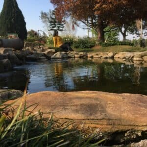 Photo "Pool Builders Contractors In Palatine Illinois"