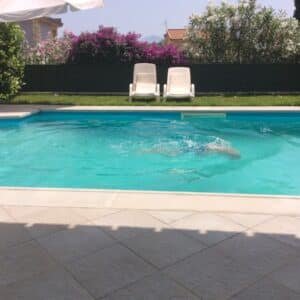 Photo "Pool Builders Contractors In Yorba Linda California"