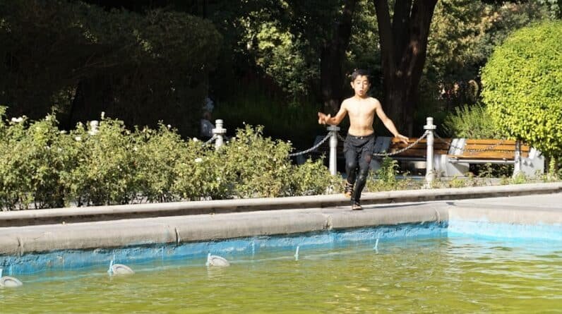 Photo "Pool Builders Contractors In Davis California"