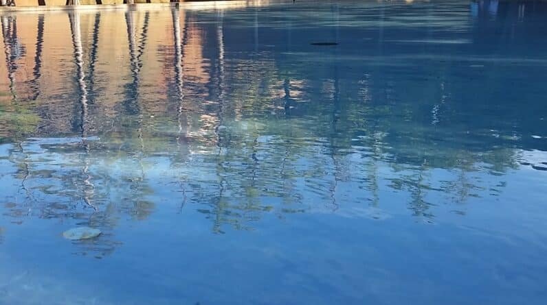 Photo "Pool Builders Contractors In Woodbury Minnesota"