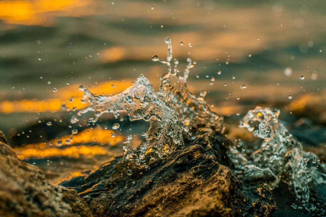 Photo Maintaining Water Chemistry