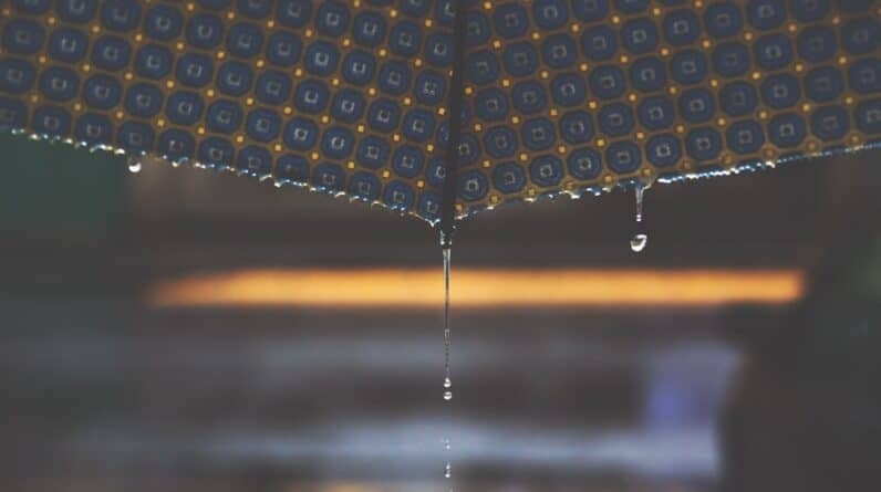 Photo Repurpose Rainwater