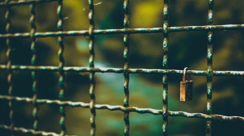 Photo Lanai Cages