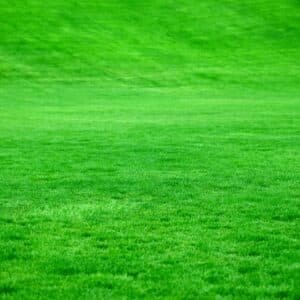 Photo above ground pool grass