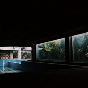 Photo Pool Enclosure Styles and Materials