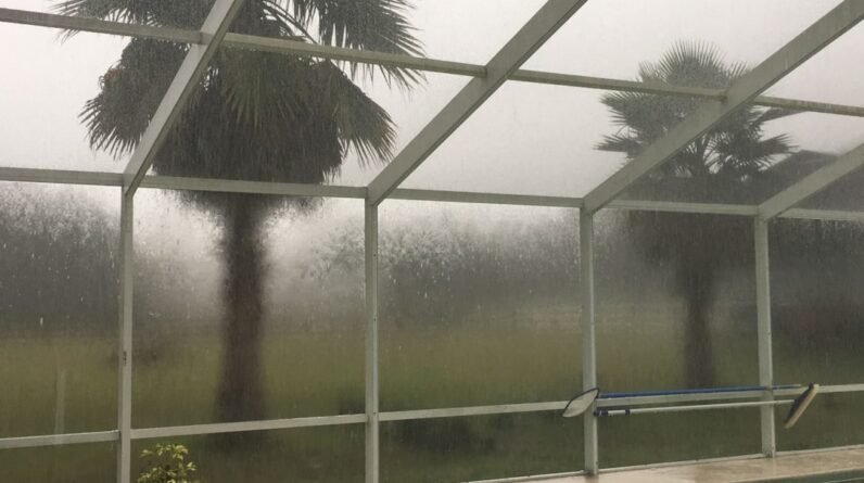 Photo Pool Enclosure