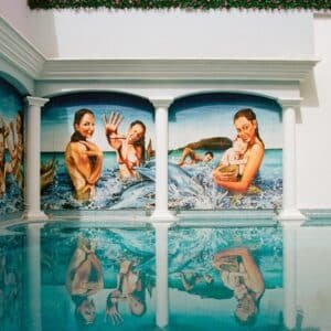Photo Pool Enclosures