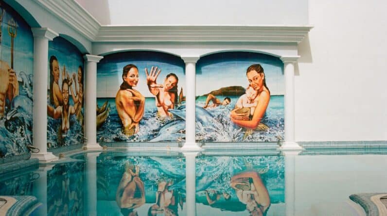 Photo Pool Enclosures