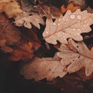 Photo Enclosed for All Seasons