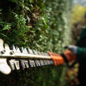 Photo Landscaping