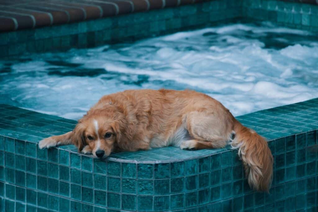 Photo Pool Protection