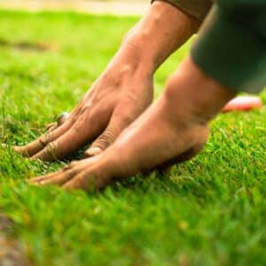 Photo Landscaping
