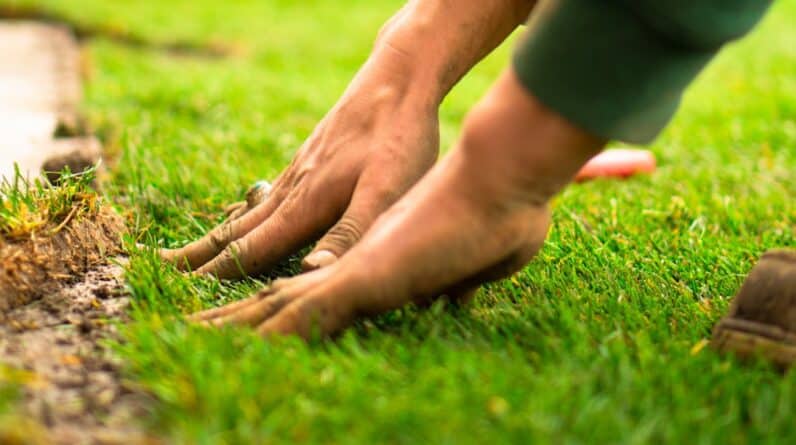 Photo Landscaping