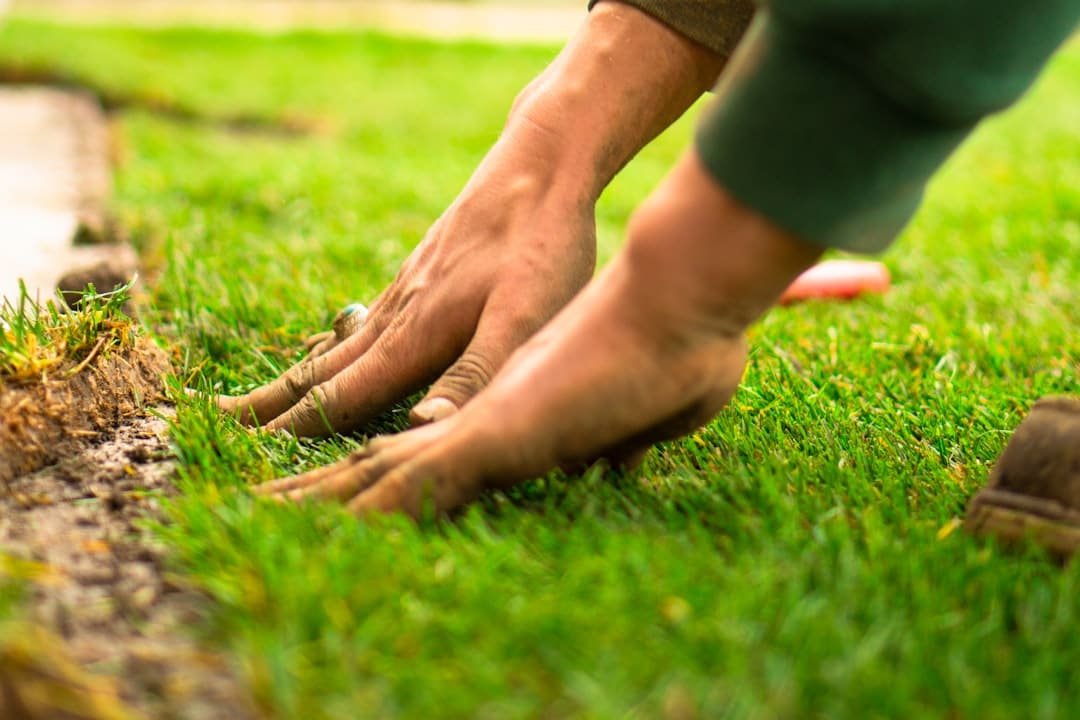 Photo Landscaping