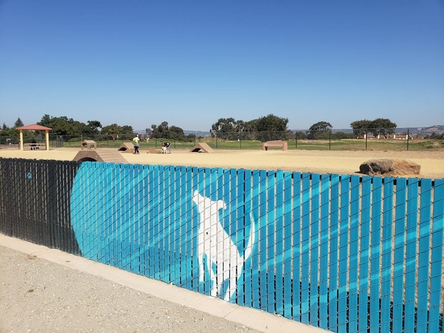 Pool Builders Lone Star Ranch