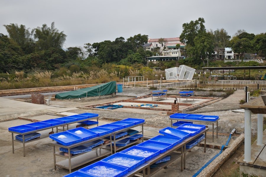 Pool Renovation Contractor